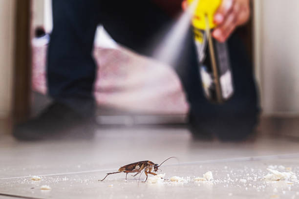 Best Affordable Pest Control Services  in Victoria, KS